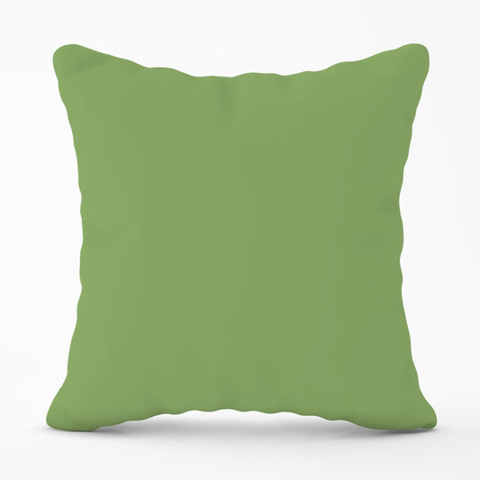 Thyme Green Outdoor Cushion